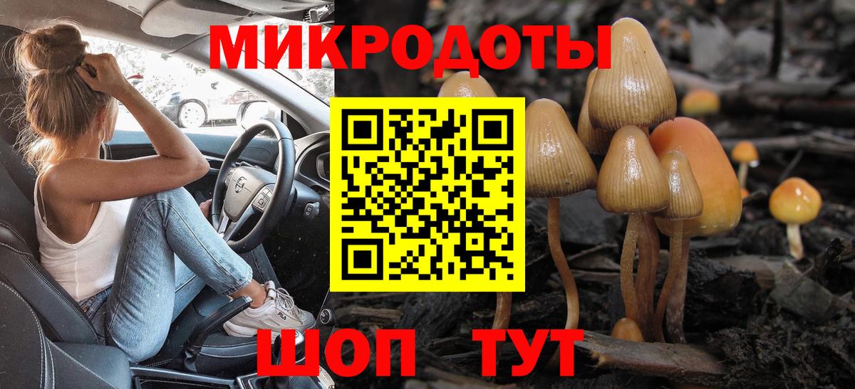 Псилоцибиновые грибы Psilocybe  Вход с VPN  Камышин 