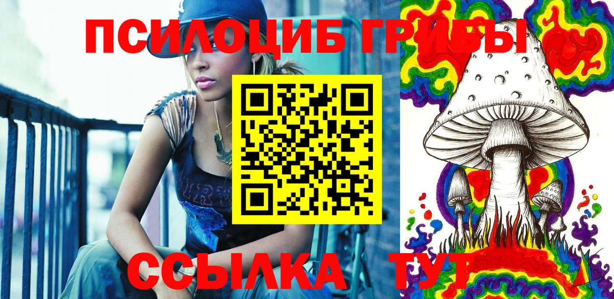 Галлюциногенные грибы Psilocybine cubensis Камышин